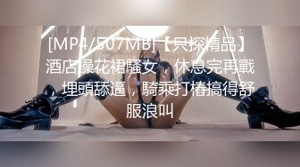 [ALDN-017] あの時、お義母さんに誘われて… 中山穂香