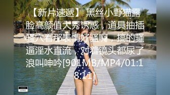 寻花偷拍系列-男主约了个高颜值大奶美女啪啪…