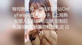 臀控熟女控✅万狼求购P站OnlyFans网红人妻S手【上海熟女猎人】私拍第三弹 定制巨乳骚母G紫薇车震野战乳交 (12)