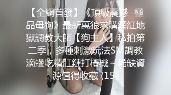 纹身大哥征服极品D奶美少妇骚货握着肉棒爱不释手细细品味吹箫技术超赞打炮一对大奶乱颤呻吟声销魂对白淫荡