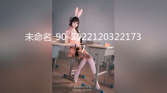 未命名_90-20221203221737