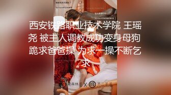 ✿温婉气质✿黑丝和内裤都来不及脱，撕碎大jb直填满肉穴洗手间疯狂后入小母狗抽插的白浆都在往下流