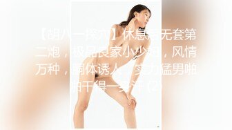 【胡八一探穴】休息后无套第二炮，极品良家小少妇，风情万种，胴体诱人，实力猛男啪啪干得一身汗 (2)