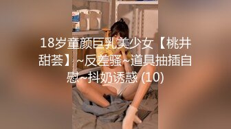 【三级】《秘密女搜查官 春药极限拷问》